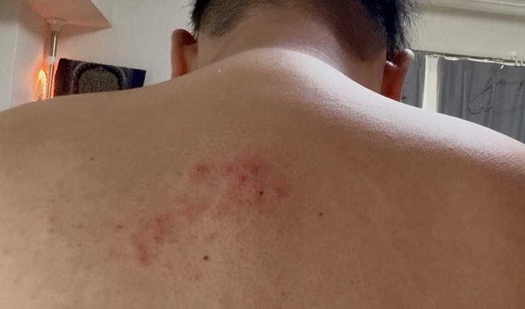 わんたろう@サブスパイス tweet media