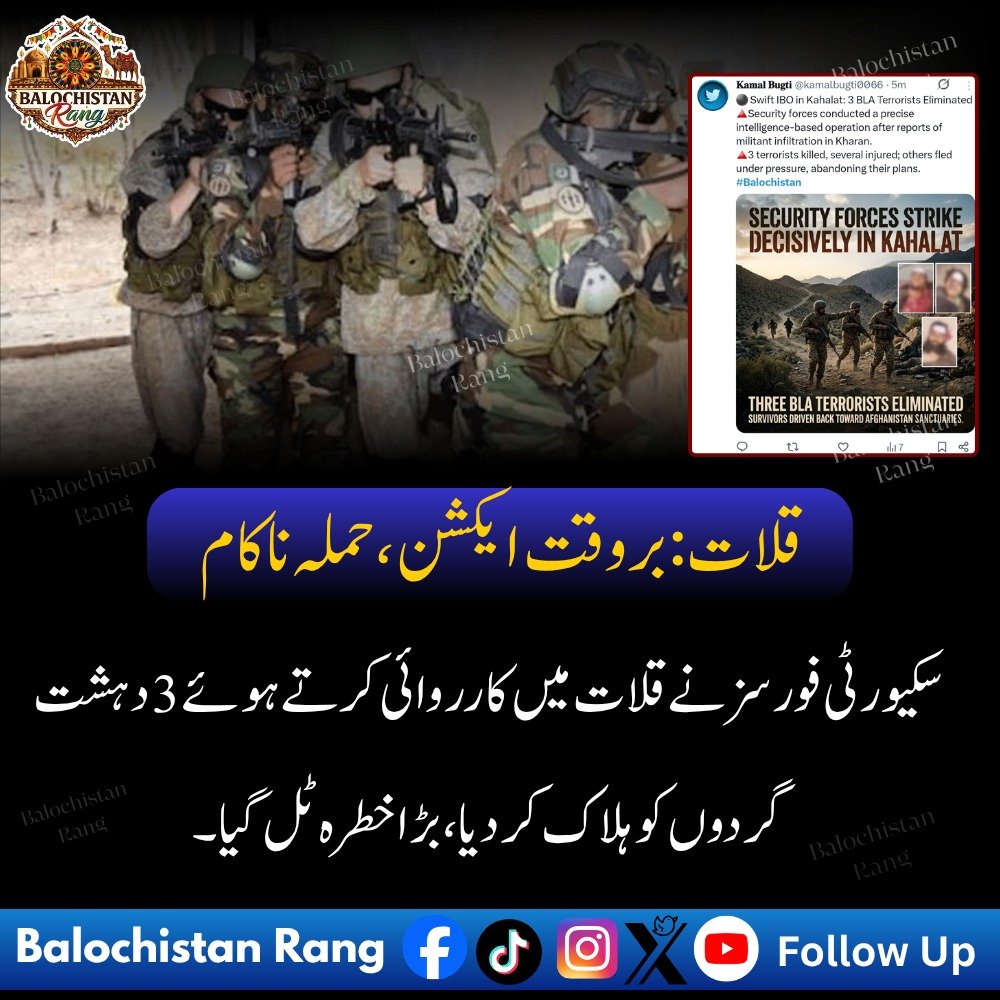 BL_Rang's tweet photo. قلات: بروقت ایکشن، حملہ ناکام
سکیورٹی فورسز نے قلات میں کارروائی کرتے ہوئے 3 دہشت گردوں کو ہلاک کر دیا، بڑا خطرہ ٹل گیا۔
#Kalat
#CounterTerrorism
#TargetedOperation
#Balochistan https://t.co/WZnMoQZHgz