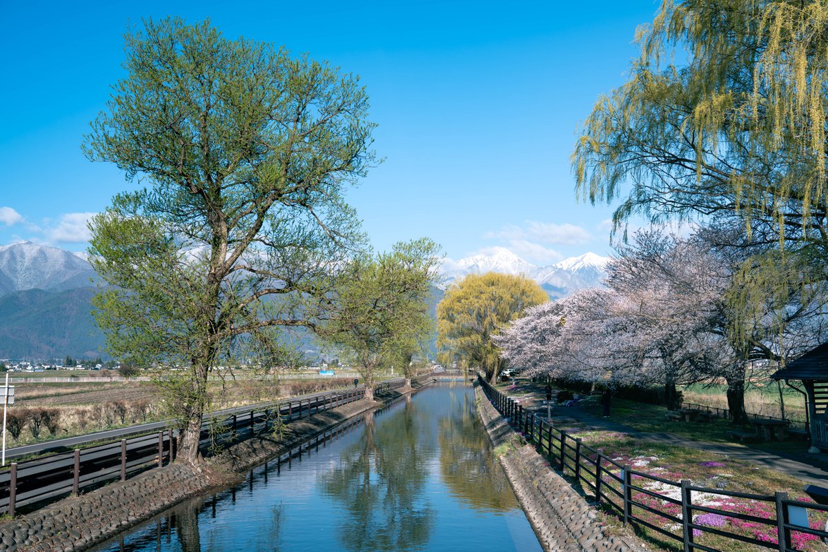 長野県安曇野市 tweet media
