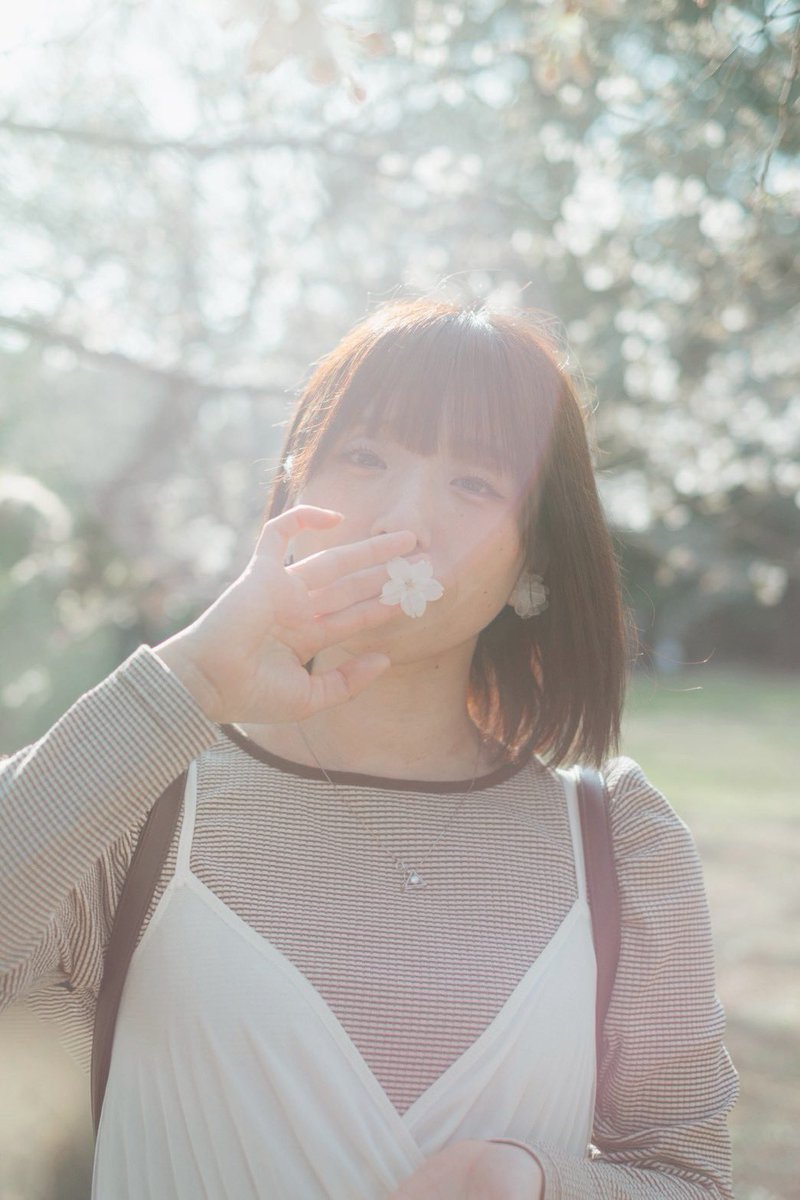 yukina_1417's tweet photo. 桜の季節、また来年だね🌸

光がかわいいお写真、たくさん撮ってもらいました！
あみちゃんありがとう🫶✨

photo:@ami_nosuke https://t.co/9cm5MsBRKs