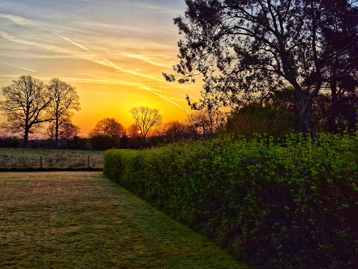 gary parratt tweet media