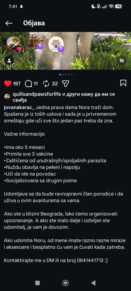 SanjaŽ tweet media