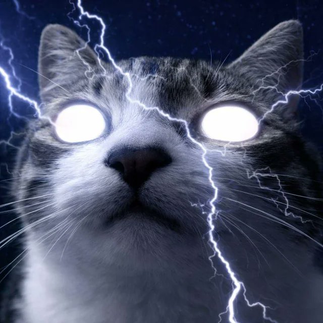 komishay tweet media