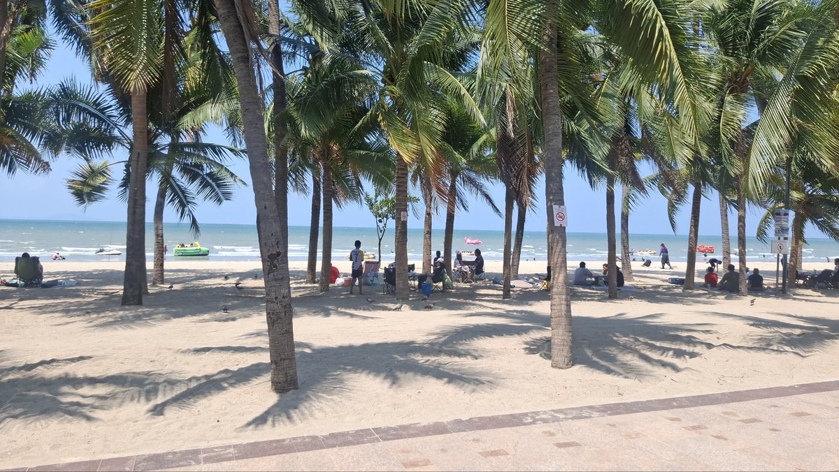 SineWhite tweet media