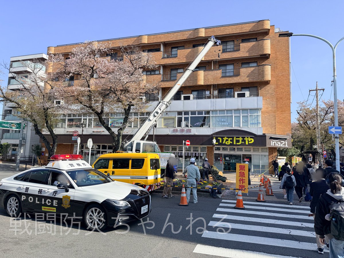 戦闘防災ちゃんねる tweet media