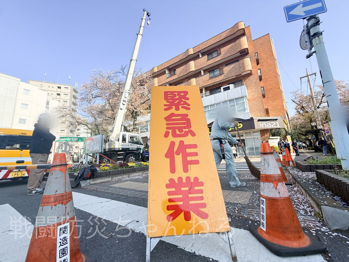 戦闘防災ちゃんねる tweet media