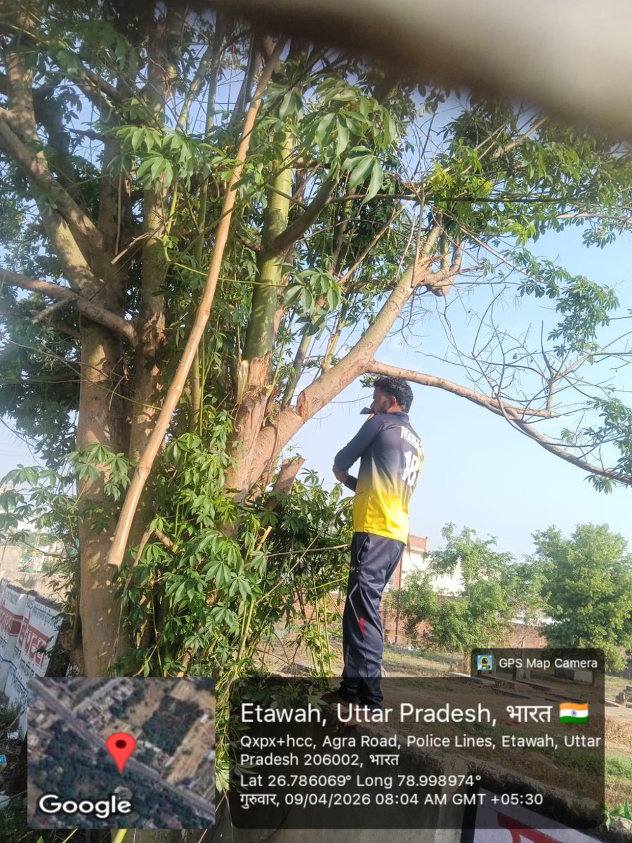 dvvnletawah01's tweet image. इटावा  के उपकेन्द्र इंजीनियरिंग कॉलेज के अंतर्गत विद्युत लाइनों की सुरक्षा हेतु पेड़ों की छंटाई/कटिंग का कार्य किया गया। इस कार्य से संभावित फॉल्ट/ब्रेकडाउन की रोकथाम कर निर्बाध विद्युत आपूर्ति सुनिश्चित की जा रही है। @dvvnlhq @UPPCLLKO @MDDVVNL #Etawah #TreeCutting #PowerSupply