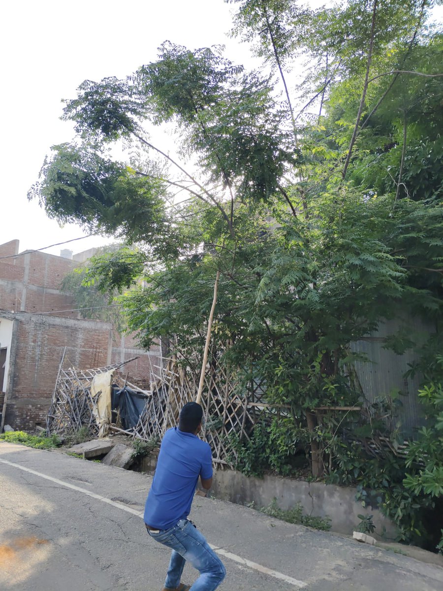 dvvnletawah01's tweet image. इटावा  के उपकेन्द्र इंजीनियरिंग कॉलेज के अंतर्गत विद्युत लाइनों की सुरक्षा हेतु पेड़ों की छंटाई/कटिंग का कार्य किया गया। इस कार्य से संभावित फॉल्ट/ब्रेकडाउन की रोकथाम कर निर्बाध विद्युत आपूर्ति सुनिश्चित की जा रही है। @dvvnlhq @UPPCLLKO @MDDVVNL #Etawah #TreeCutting #PowerSupply