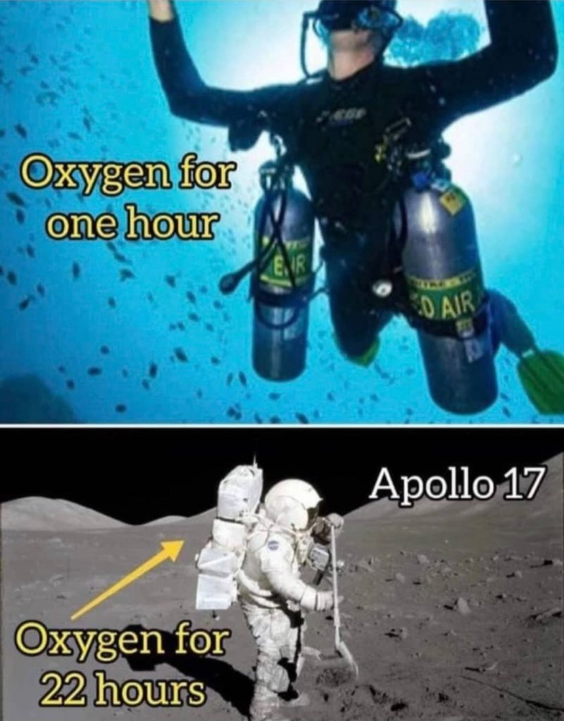 Niclas Zaccariassen tweet media