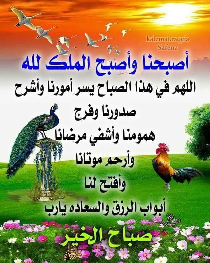 فوزى رماح tweet media