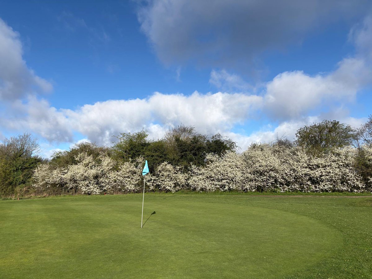 Calderfields tweet media