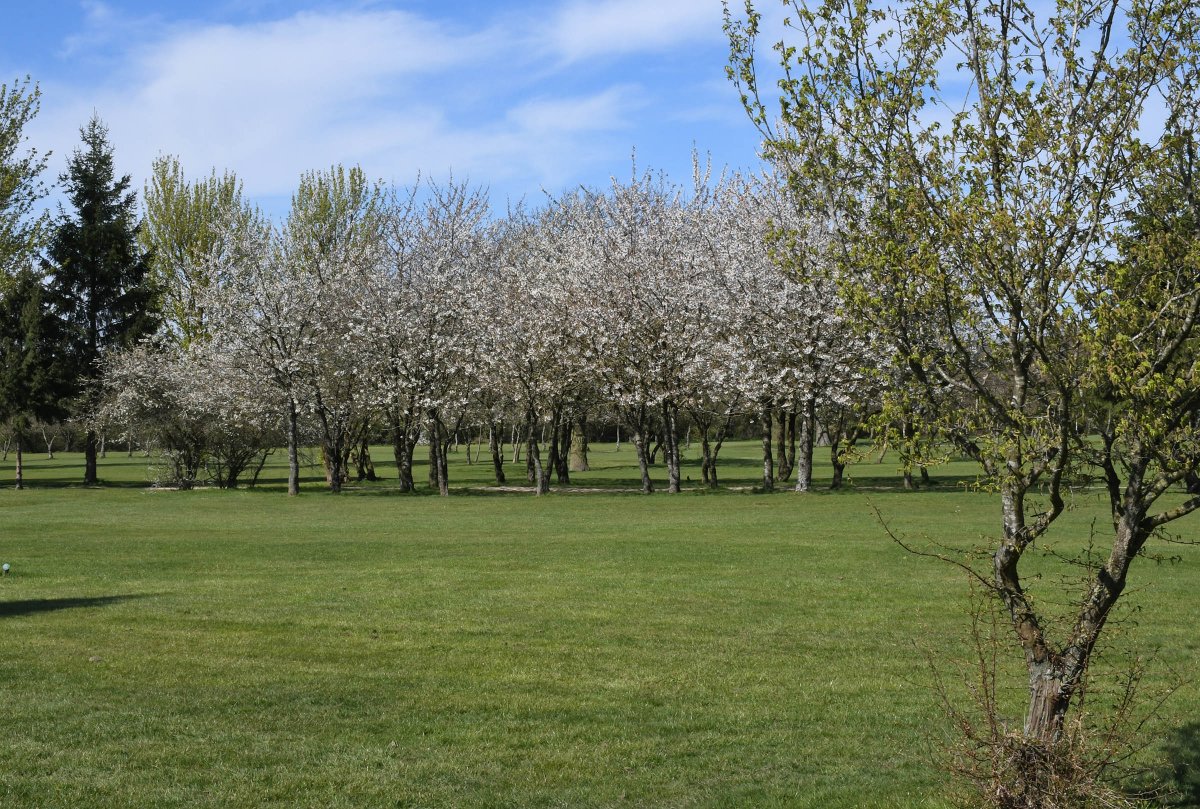 Calderfields tweet media