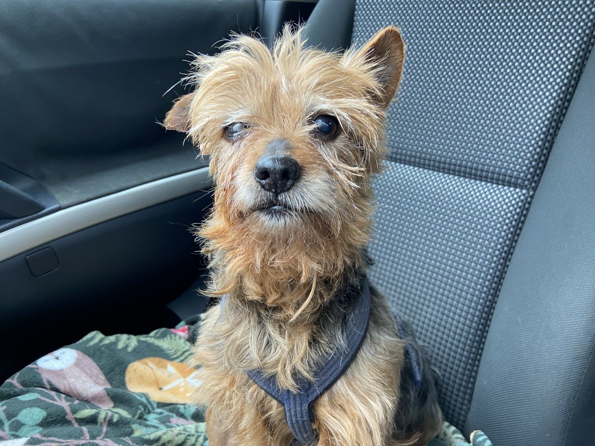 Fundacja Mon Ami tweet media