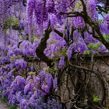 Isha1860708's tweet image. Weekly sanity check! 🧘‍♀️ Making sure everything is running smoothly. Stay tuned for updates! #sanitycheck #productivity 🚀