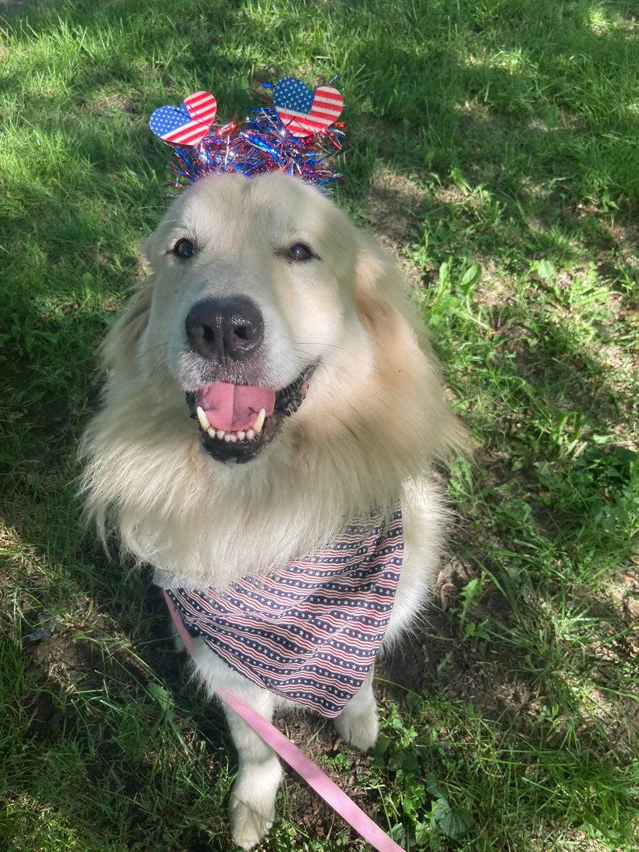 RevaliTheBerner tweet media