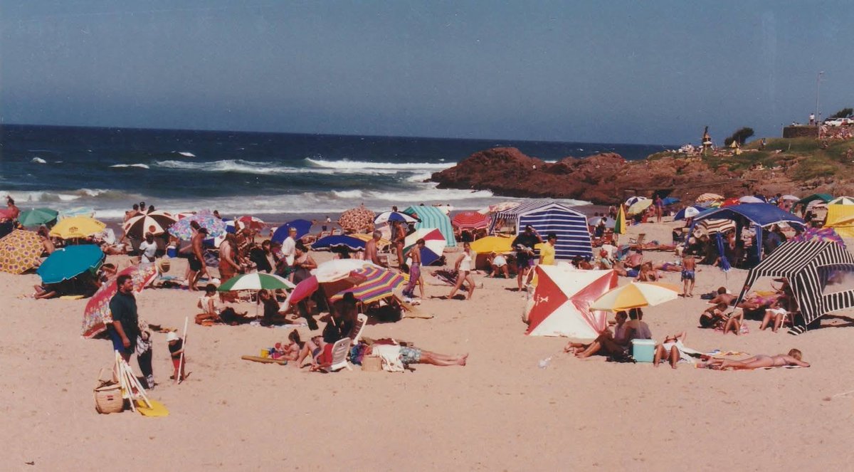 Pookie's Polls & Opinions tweet media