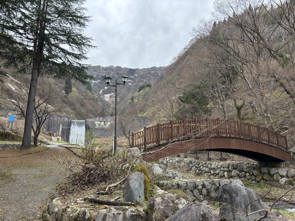 かしみ〜るダル子｜MatB tweet media