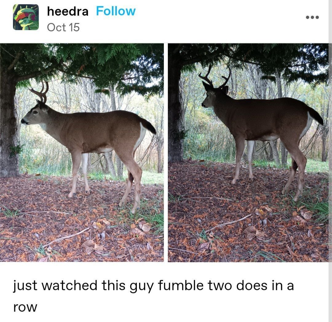 John fawn tweet media