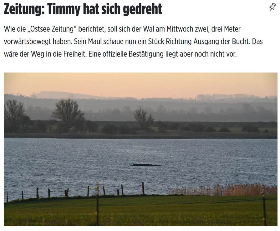 d0mturbo's tweet photo. 🚩🚩
#Buckelwal #Timmy hat sich offenbar gedreht. So viel dazu, dass er nicht reagiert und keine Reaktion zeig! Das ist kein letztes Aufbäumen,.. er will weg von da! In ihm steckt noch Leben! 🙏 https://t.co/WQyXI15F4j