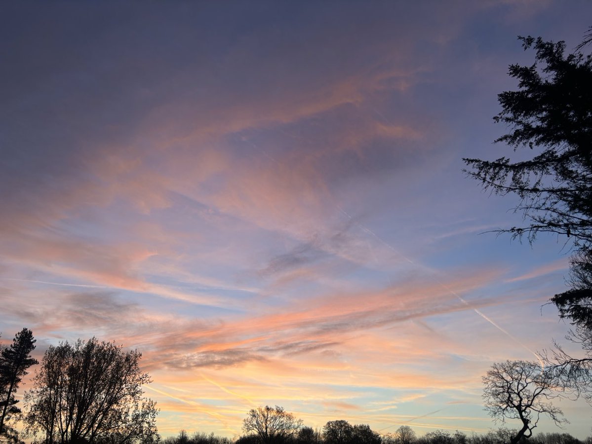 DevilMayCare tweet media