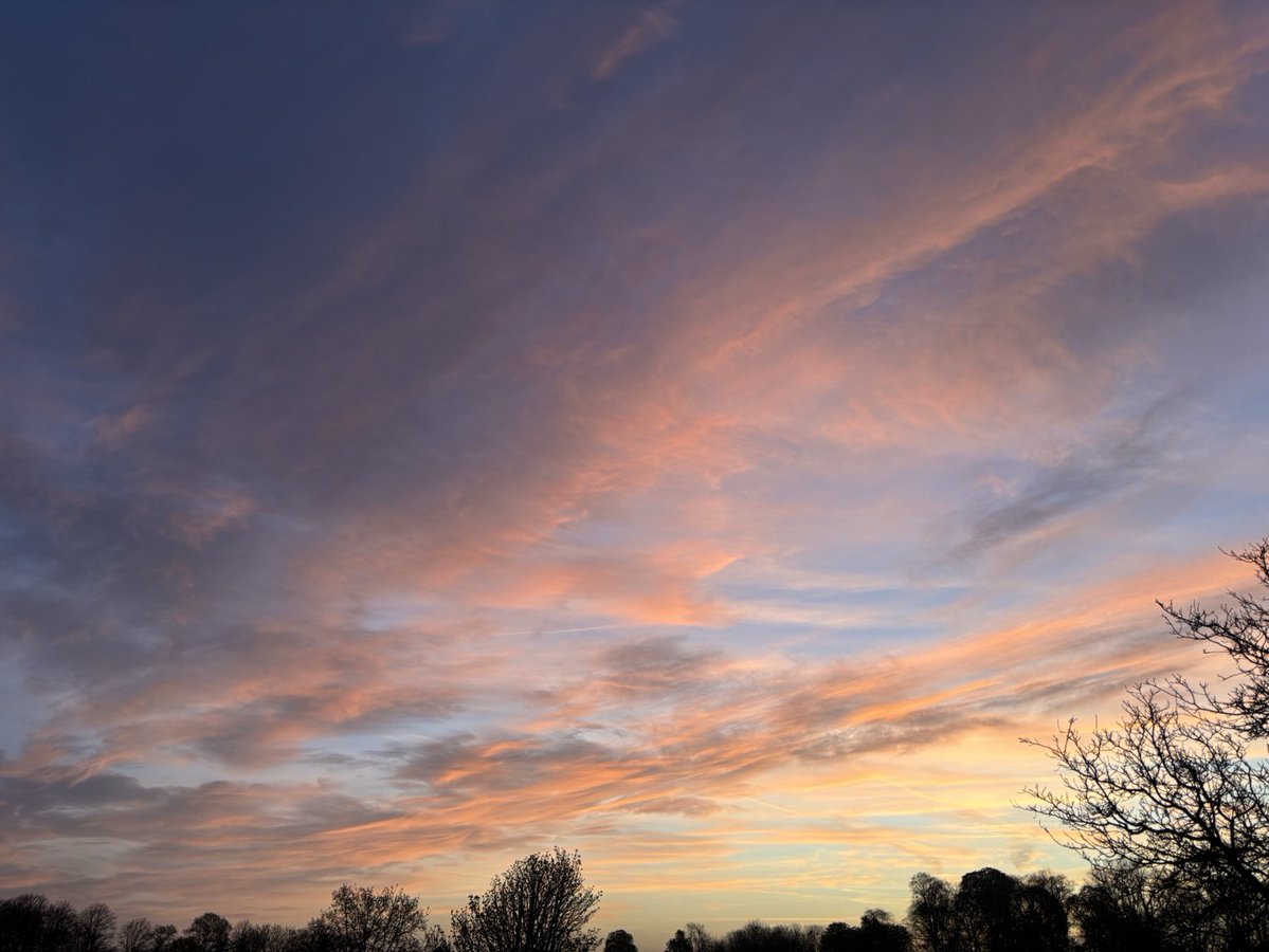 DevilMayCare tweet media