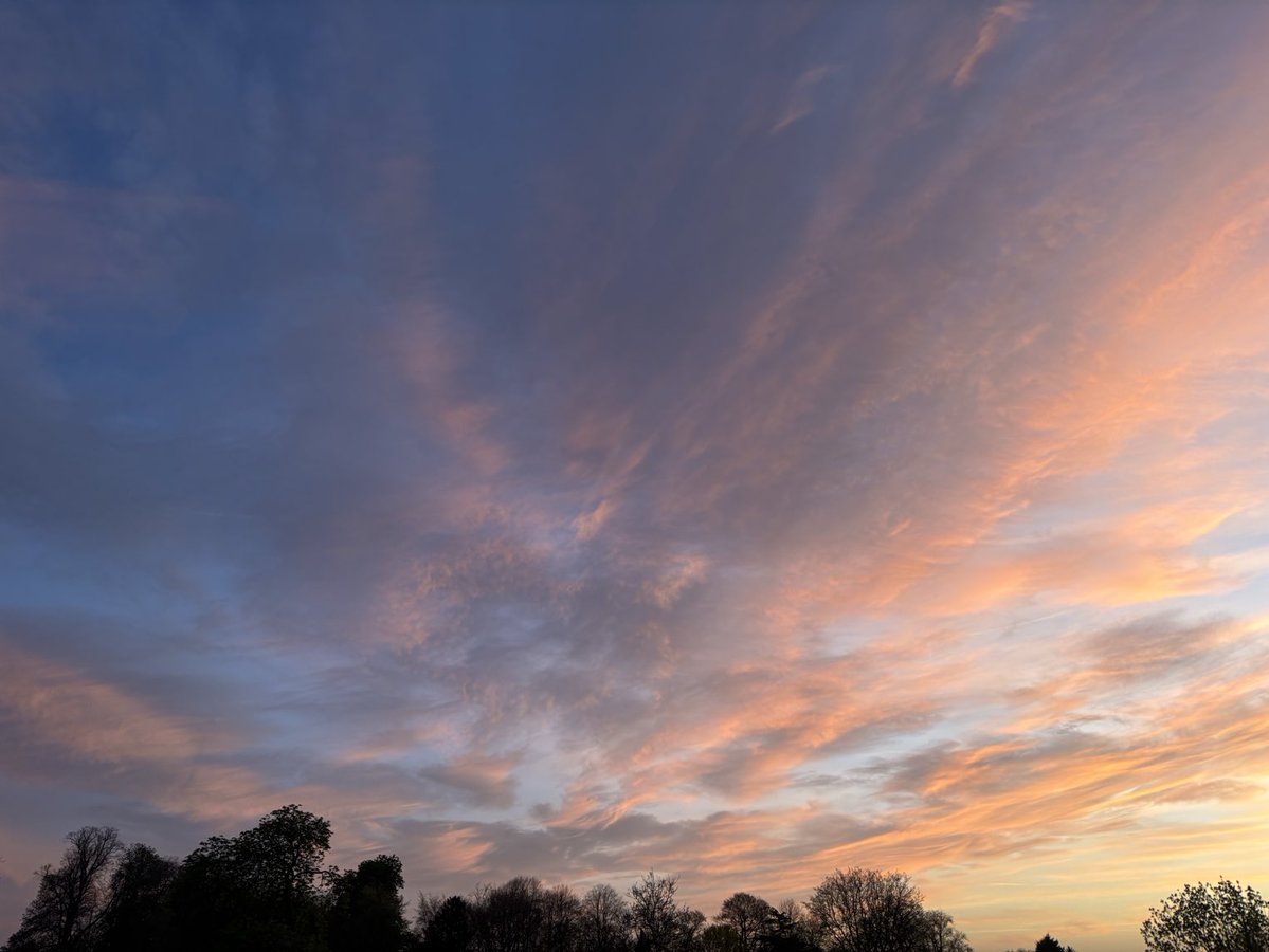 DevilMayCare tweet media