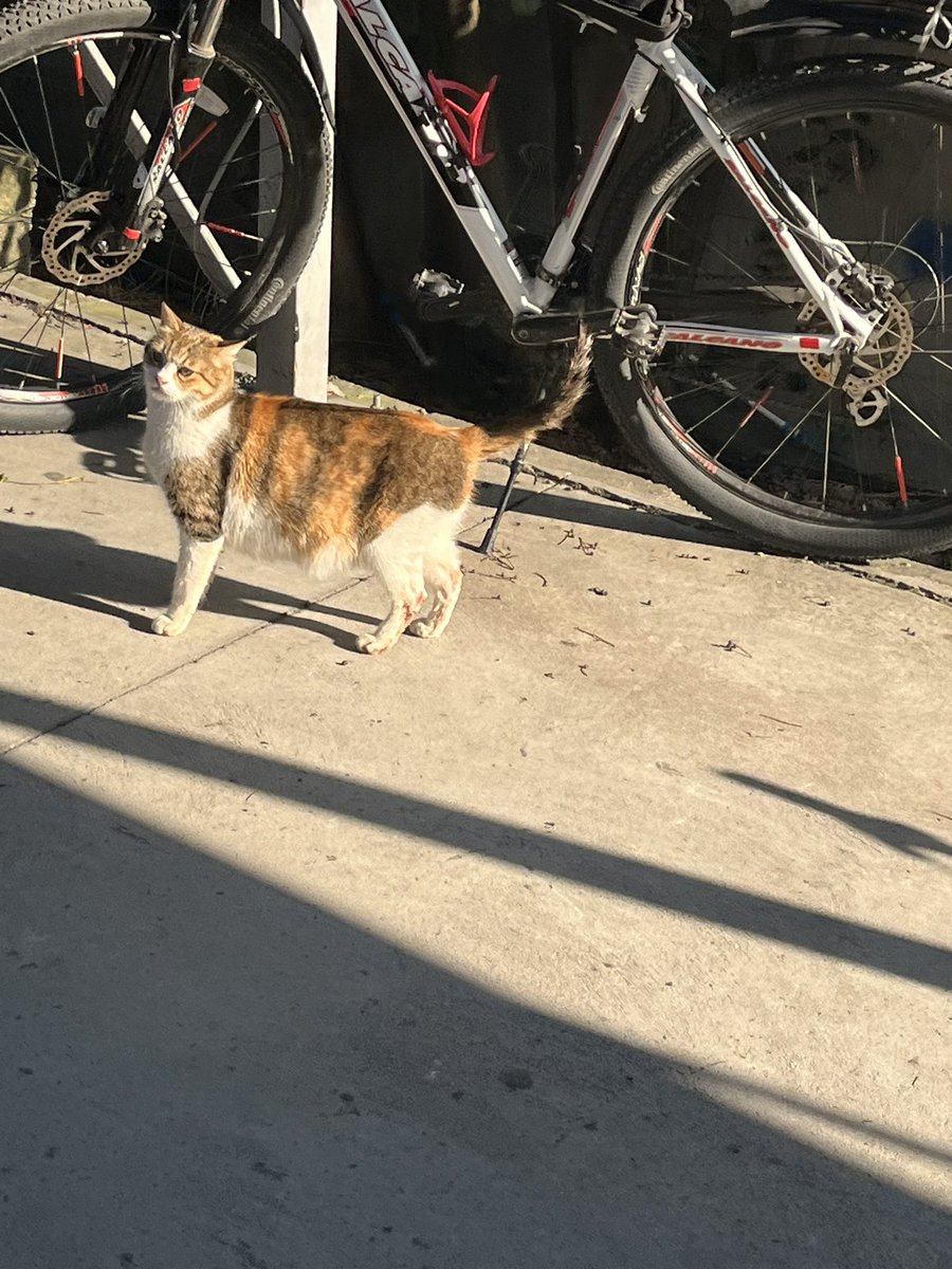 dilara🇹🇷 tweet media