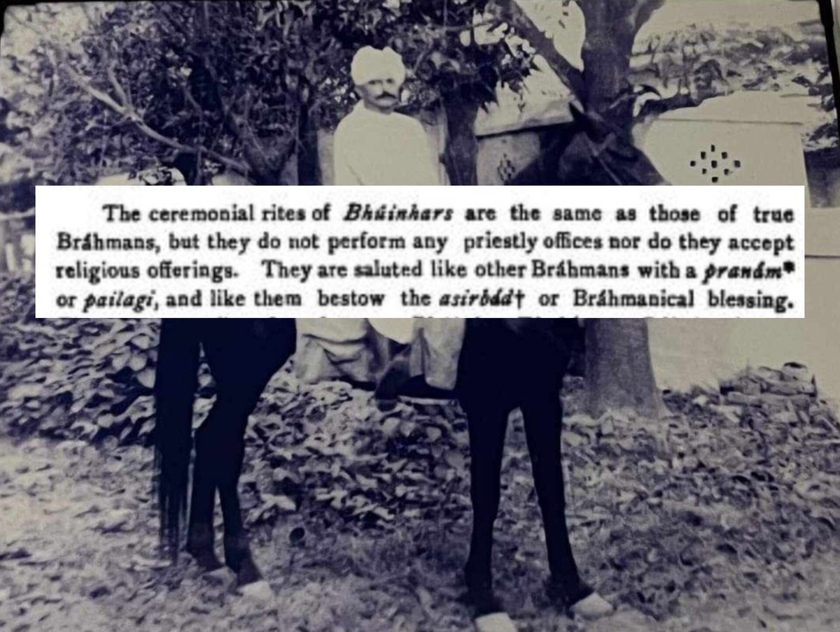 ZamindarSoul tweet media