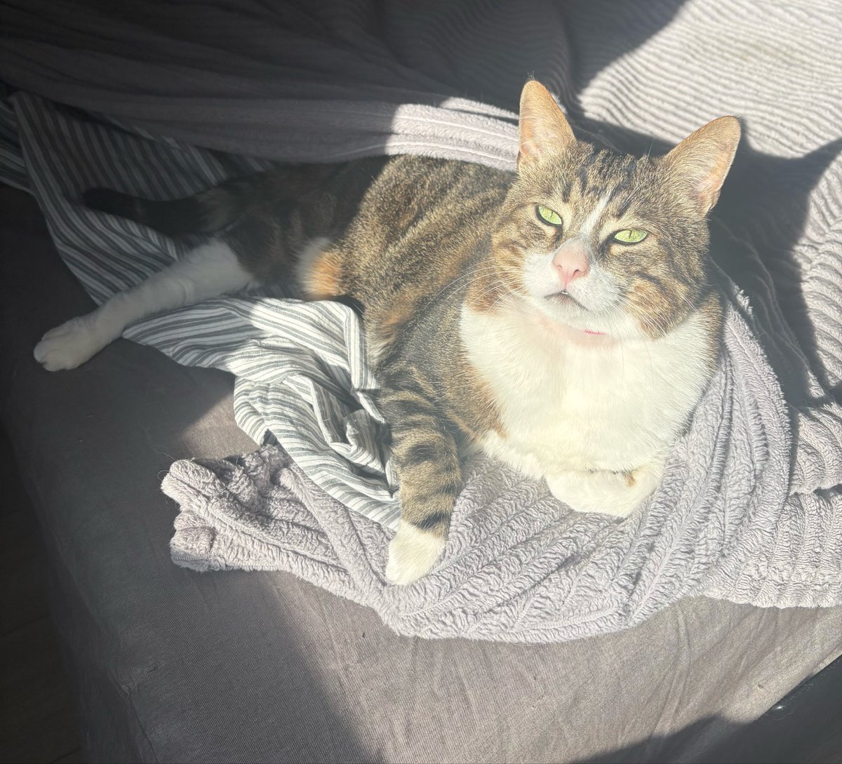 Turşu-Üzüm ve Çiçeeelll tweet media