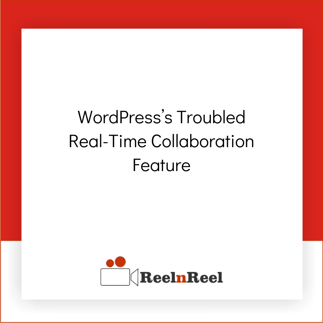 ReelnReel tweet media