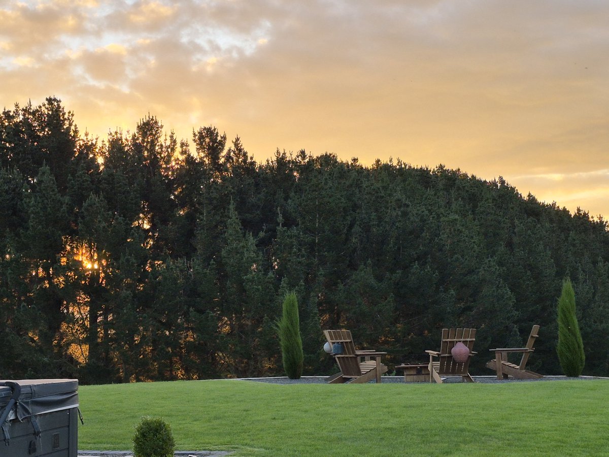 Tesha 🇳🇿 tweet media