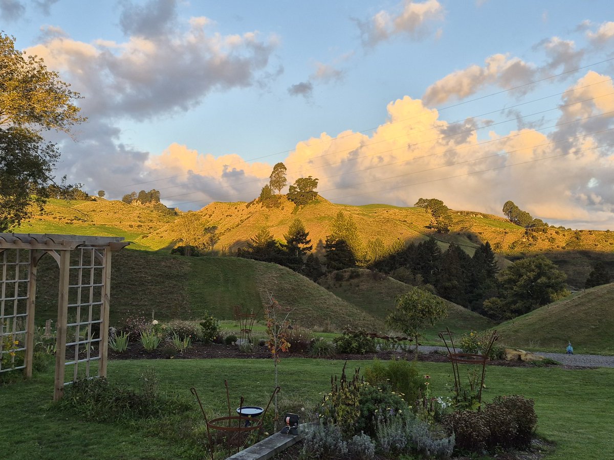 Tesha 🇳🇿 tweet media