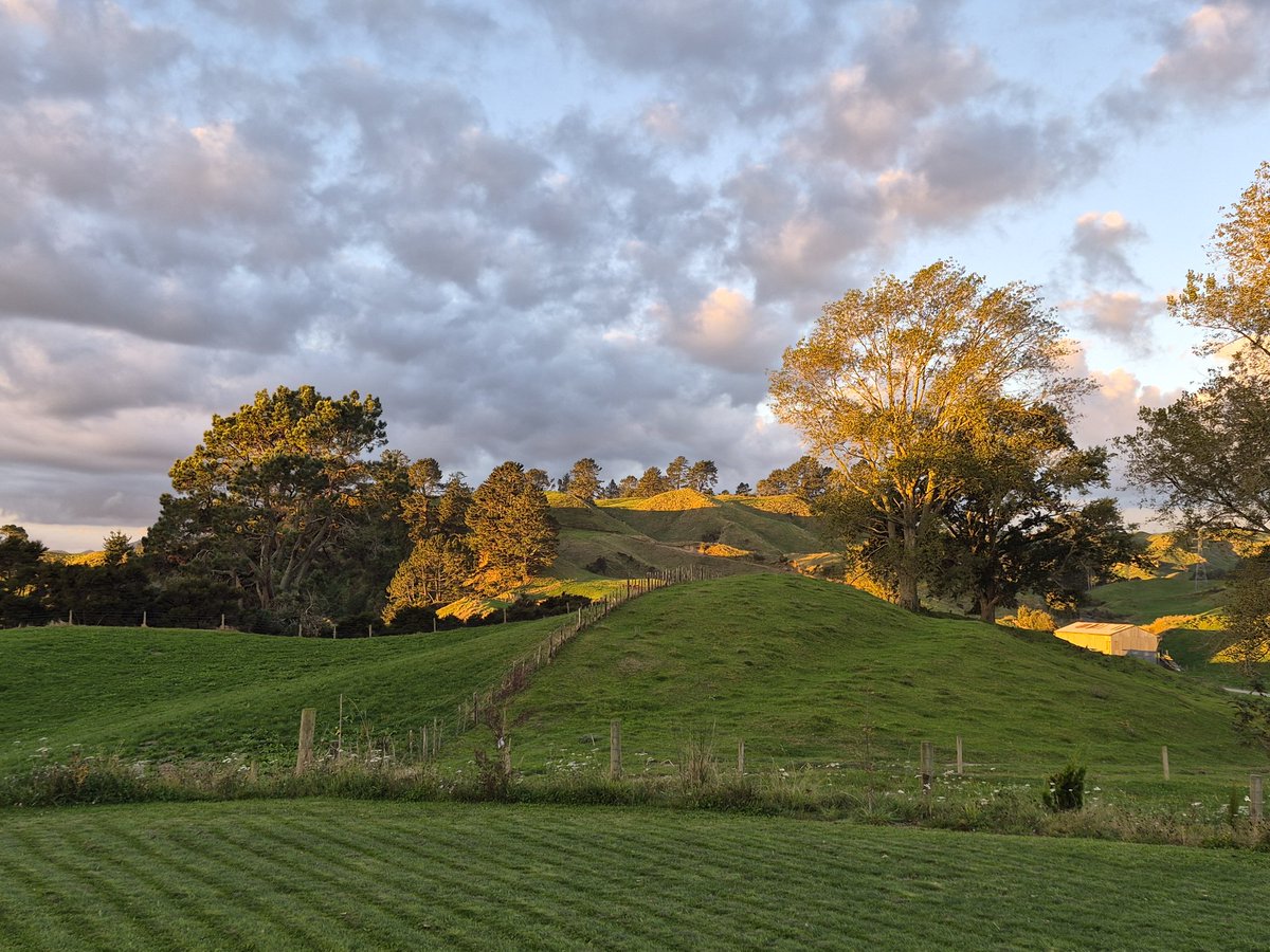 Tesha 🇳🇿 tweet media