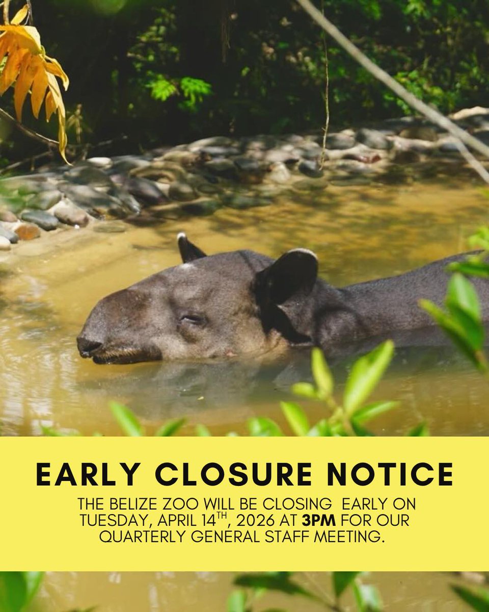 The Belize Zoo and Tropical Education Center tweet media