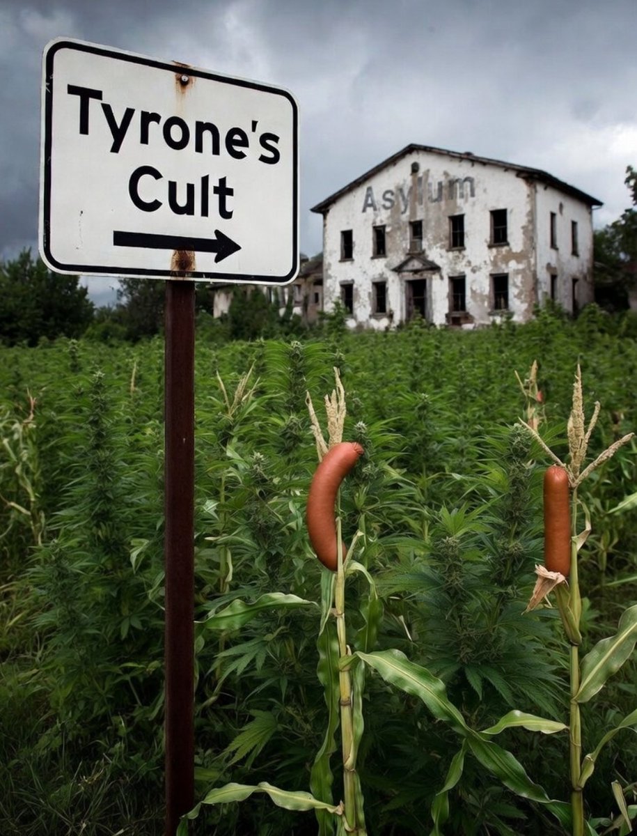 NancySilver ✪🦩 tweet media