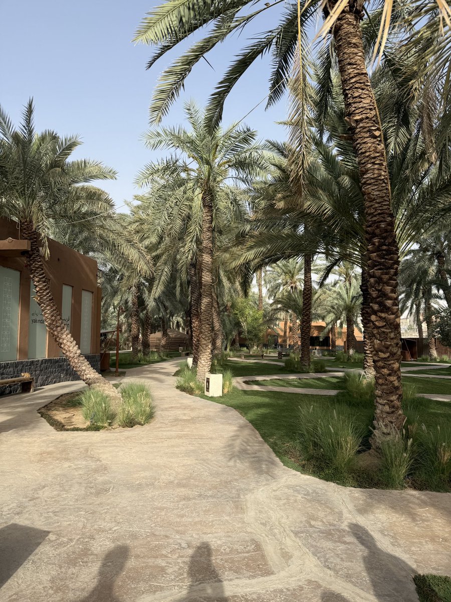 دحوم م م م م م م tweet media