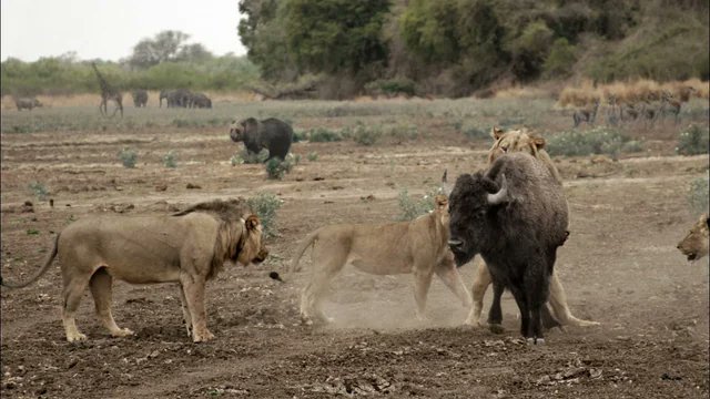 deadpoolrlz96 tweet media