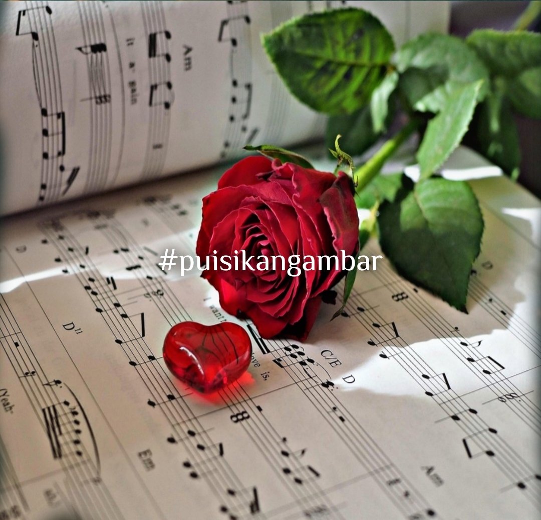 ~Pelangi Puisi~ tweet media