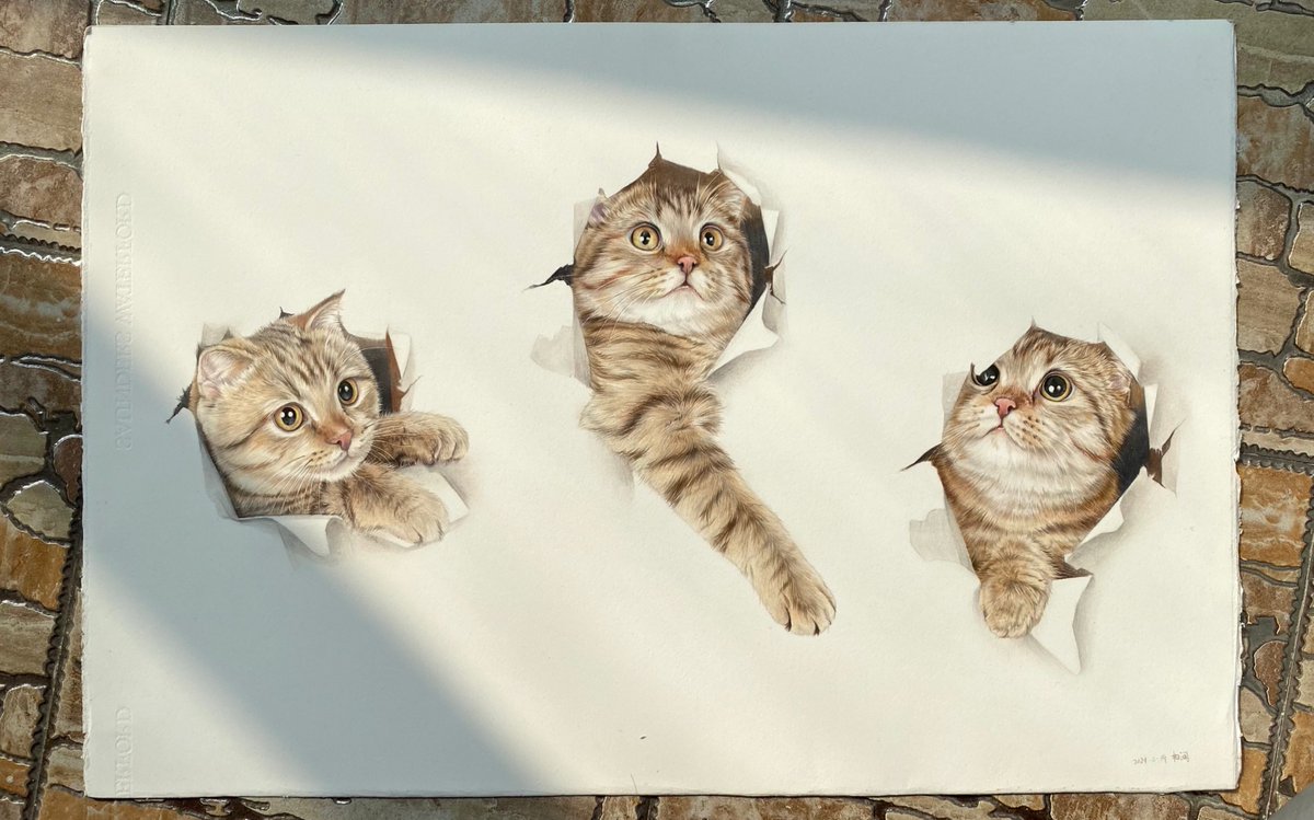 เต้ย tweet media