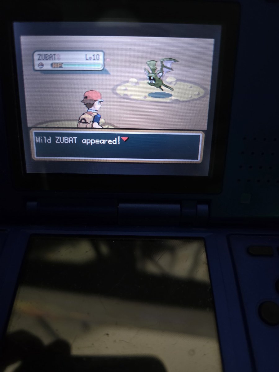 Kwikpanik, CEO of 8192 tweet media