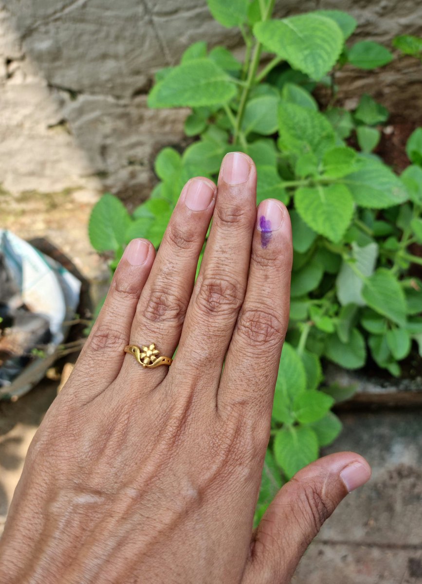 Anu Satheesh 🇮🇳🚩 tweet media