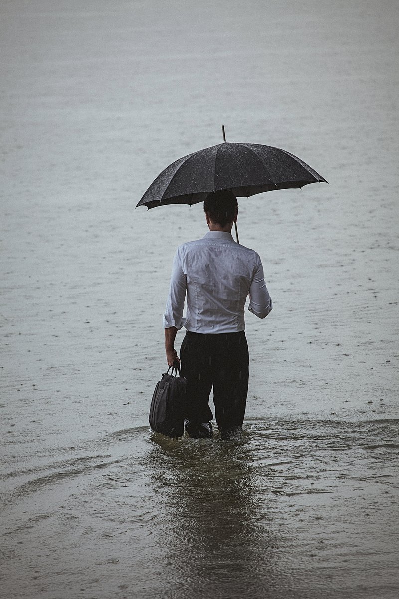 papounet casa tweet media