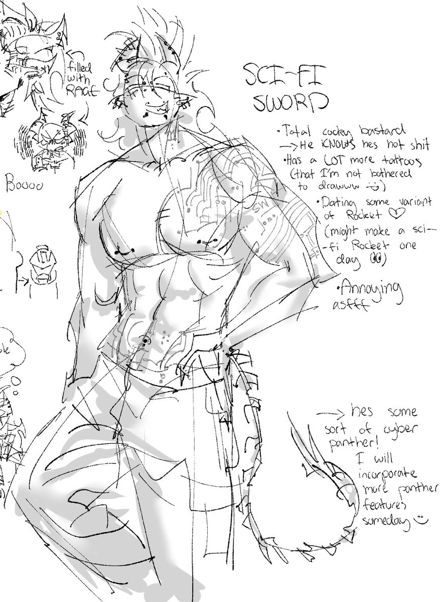 SHED HATES SWOCKET tweet media