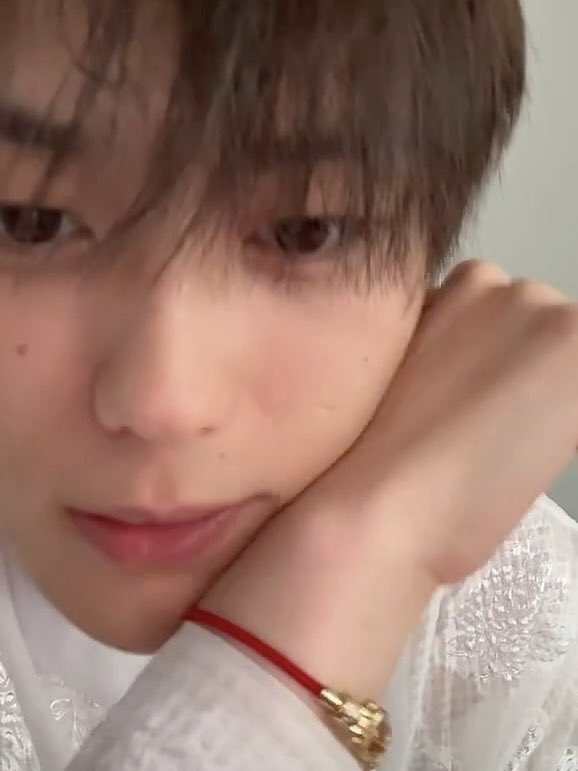 보송이의 하루 tweet media