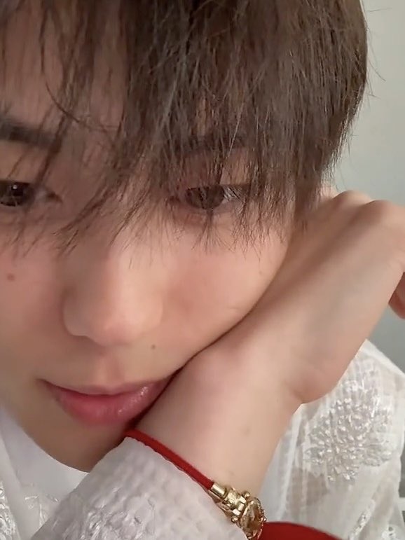 보송이의 하루 tweet media