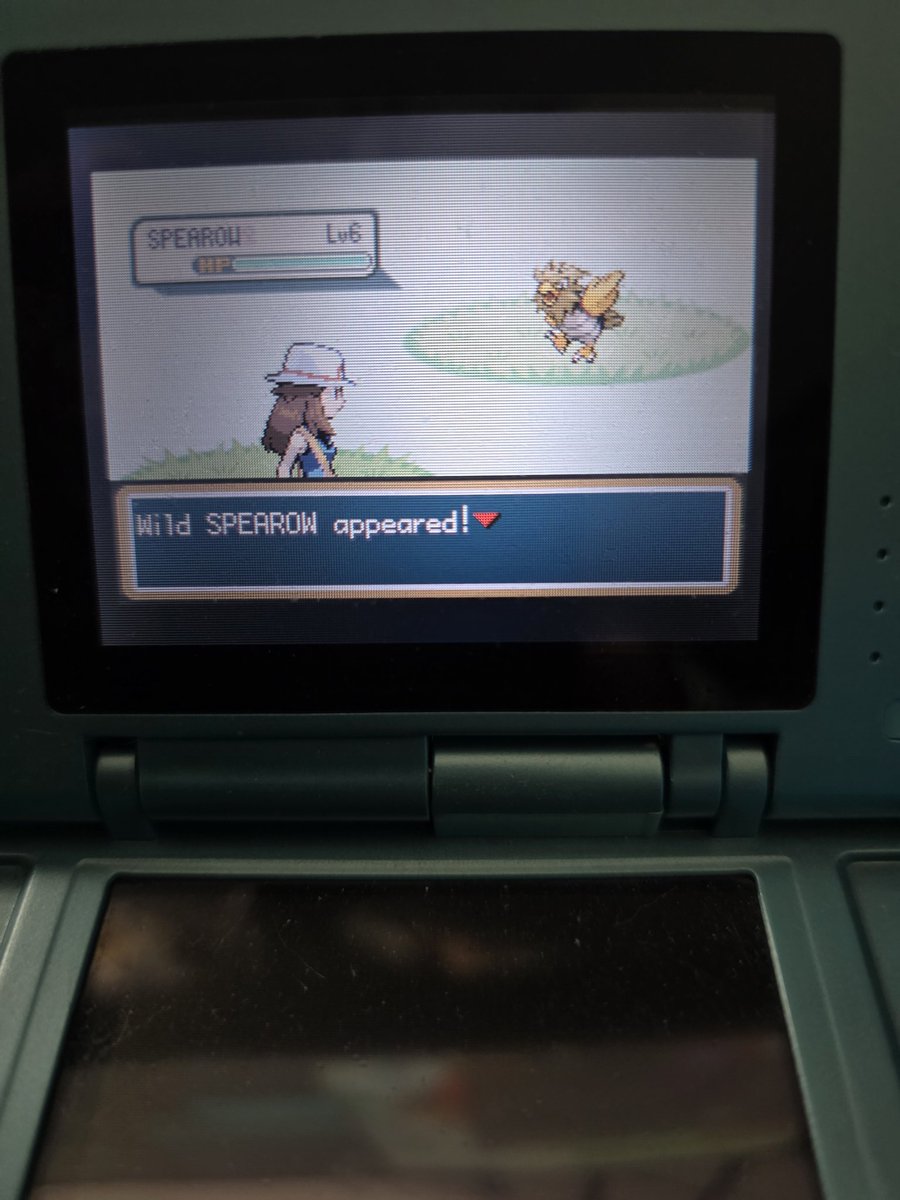 Kwikpanik, CEO of 8192 tweet media