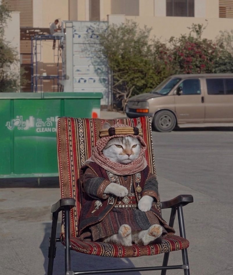 XConflict Radar tweet media