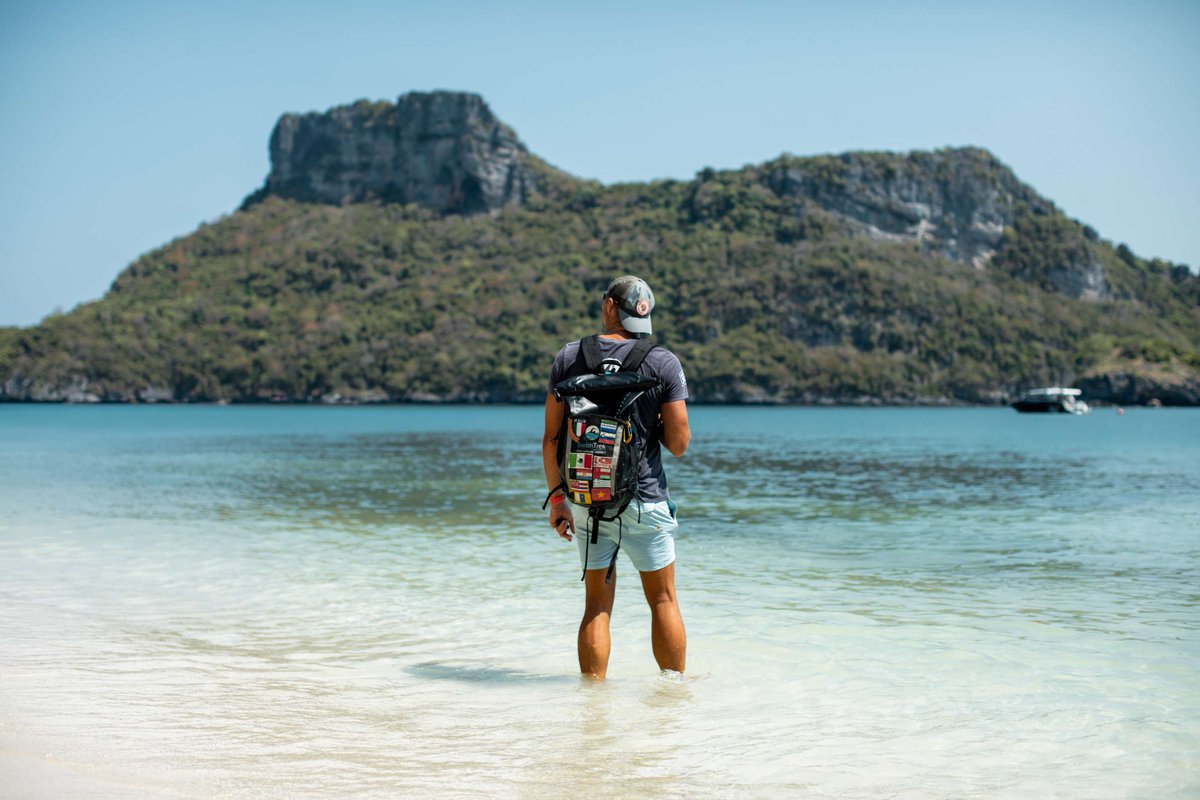 SwimTrek tweet media