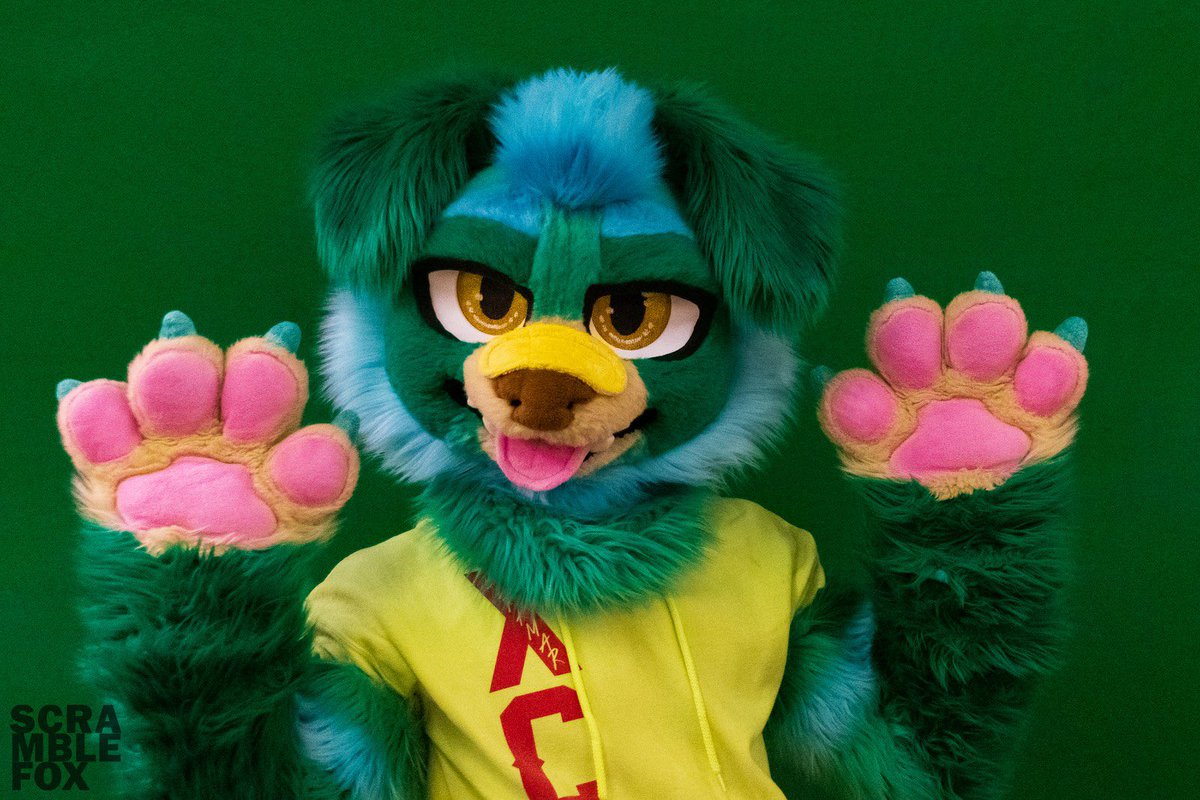 Gray Himakar tweet media