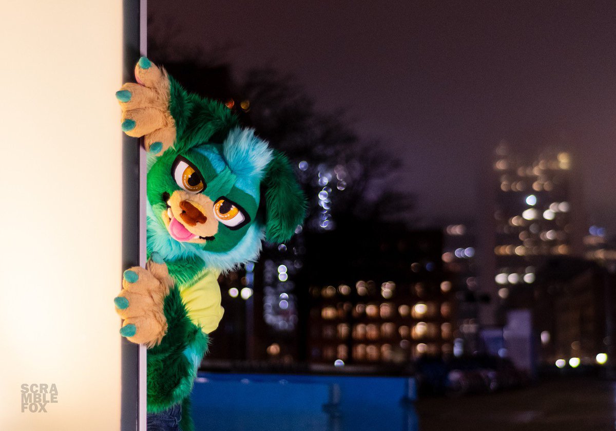 Gray Himakar tweet media